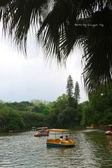 P1030938