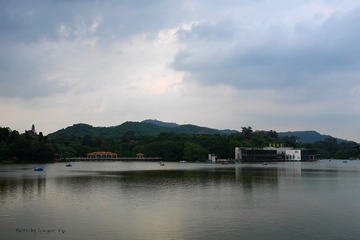 P1030990