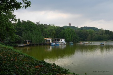 P1030992