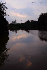 P1040067