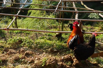 P1040348