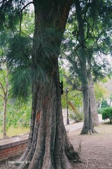 P1010837