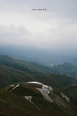 P1040522