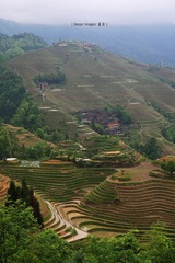 P1040653
