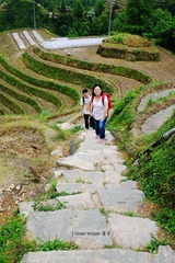 P1040990