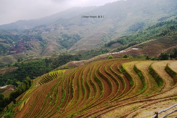 P1050033