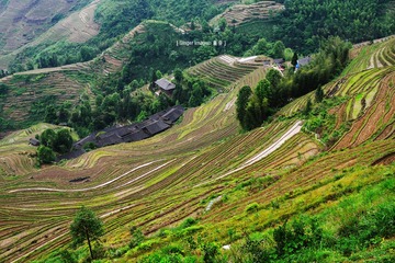 P1050045