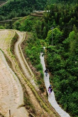 P1050046