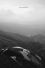 P1040522a