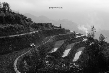 P1040624