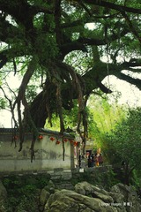 P1050185
