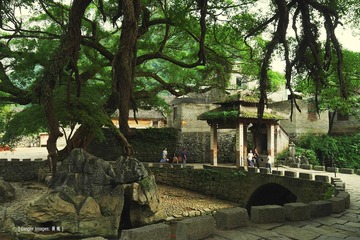 P1050218
