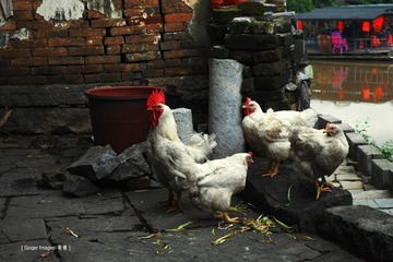 P1050263