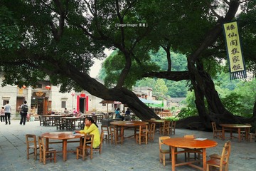 P1050268