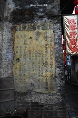 P1050306
