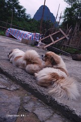 P1050330
