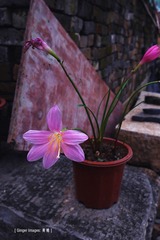 P1050331