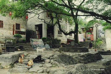 P1050339