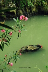 P1050384