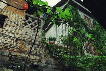 P1050385