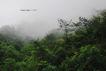P1050446