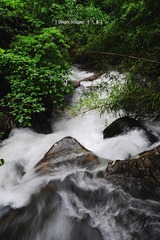P1050477