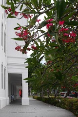P1050817