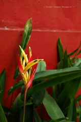 P1050832