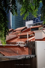 P1050849