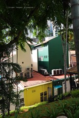 P1050850