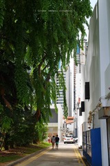P1050866