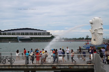 P1050967
