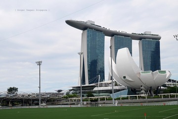 P1050986