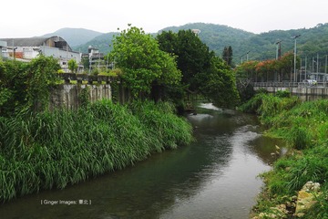 P1000596