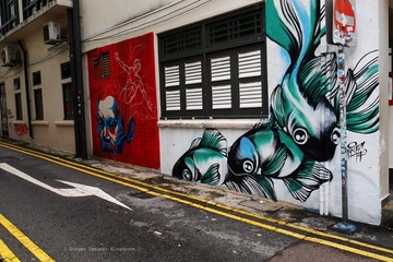P1060233