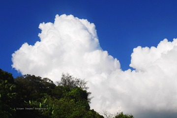 P1060363