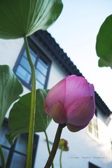 P1060376