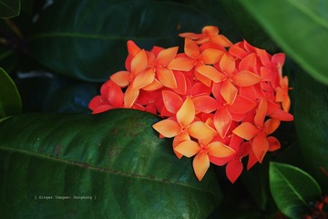 P1060395