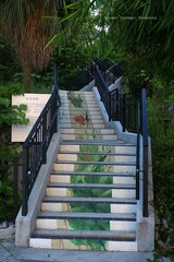 P1060443