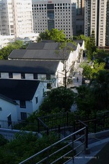 P1060447
