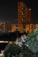P1060461