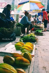 P1030444