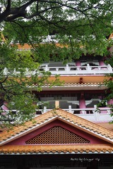 P1060764