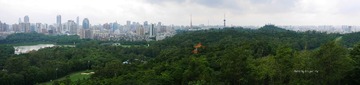 P1060766