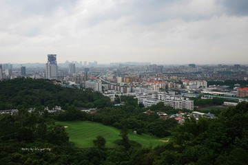P1060779