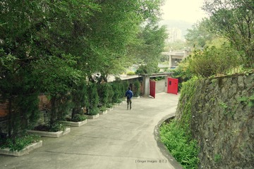 P1000637