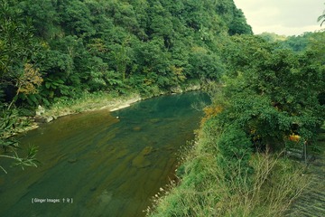 P1020605