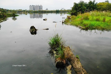 P1030043