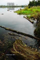 P1030048