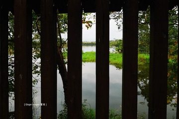 P1030051